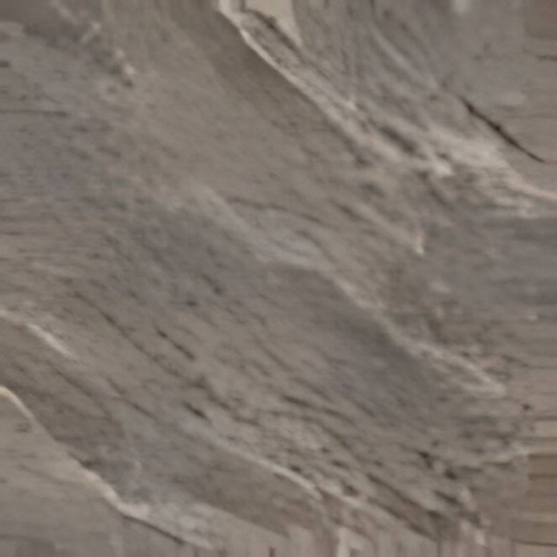 Dalle grès cérame Dicta 50 x 100 cm ép. 2 cm antidérapante R11 C