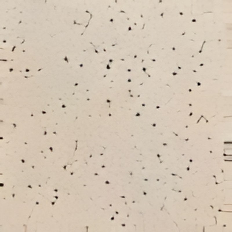 Carrelage sol grès cérame Terrazzo 60 x 60 cm finition mate