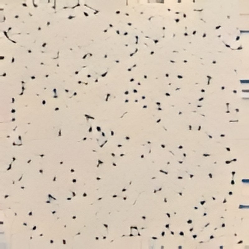 Carrelage sol grès cérame Terrazzo 60 x 60 cm finition mate
