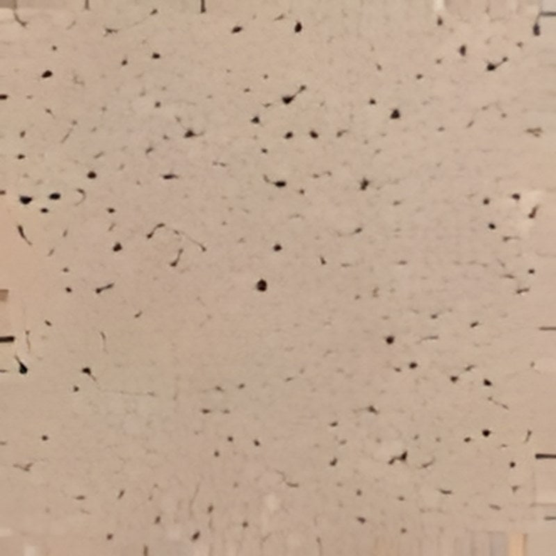 Carrelage sol grès cérame Terrazzo 60 x 60 cm finition mate