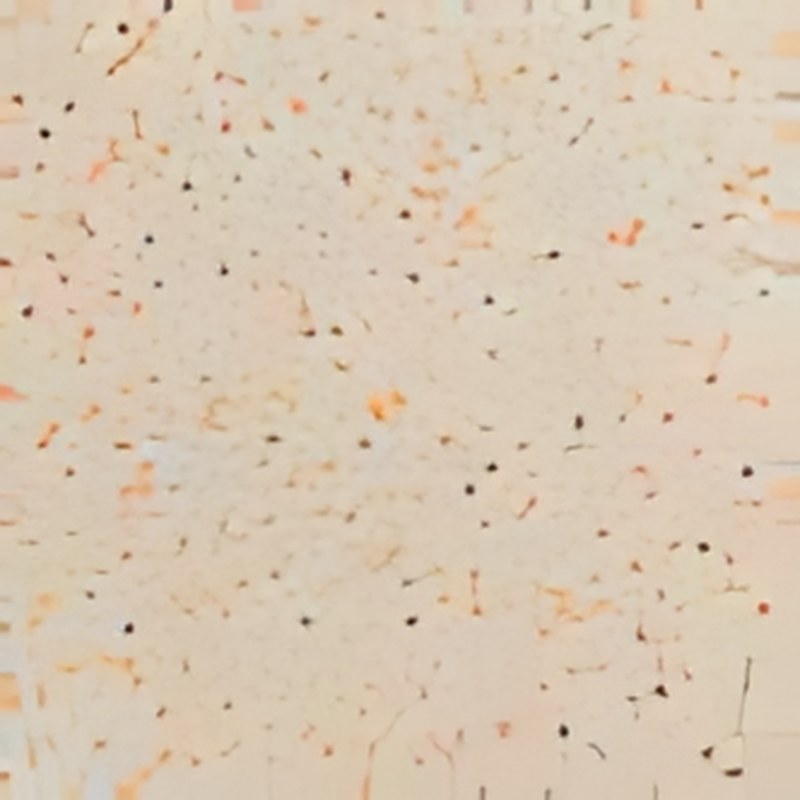 Carrelage sol grès cérame Terrazzo 60 x 60 cm finition mate