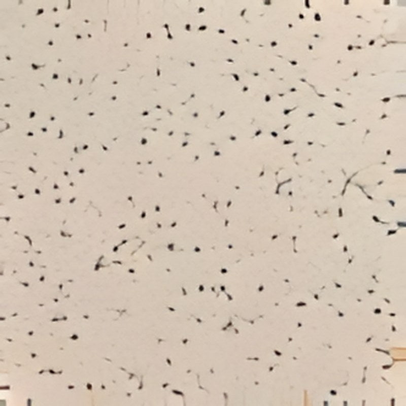Carrelage sol grès cérame Terrazzo 60 x 60 cm finition mate