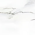 Faïence murale Arpeggio White 30 x 60 cm brillante