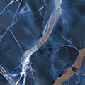 Carrelage grès cérame Rhapsody 60 x 120 cm rectifié