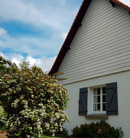 Bardage PVC Fortex Clic 170 finition pin brossé